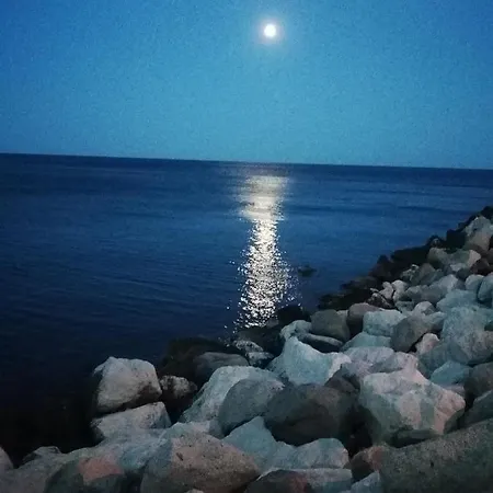 Mare