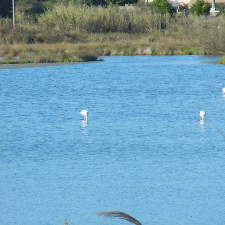 Mare Σπίτι διακοπών *