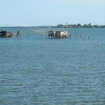 Holiday home Mare Lido di Scacchi
