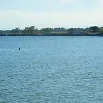 Mare